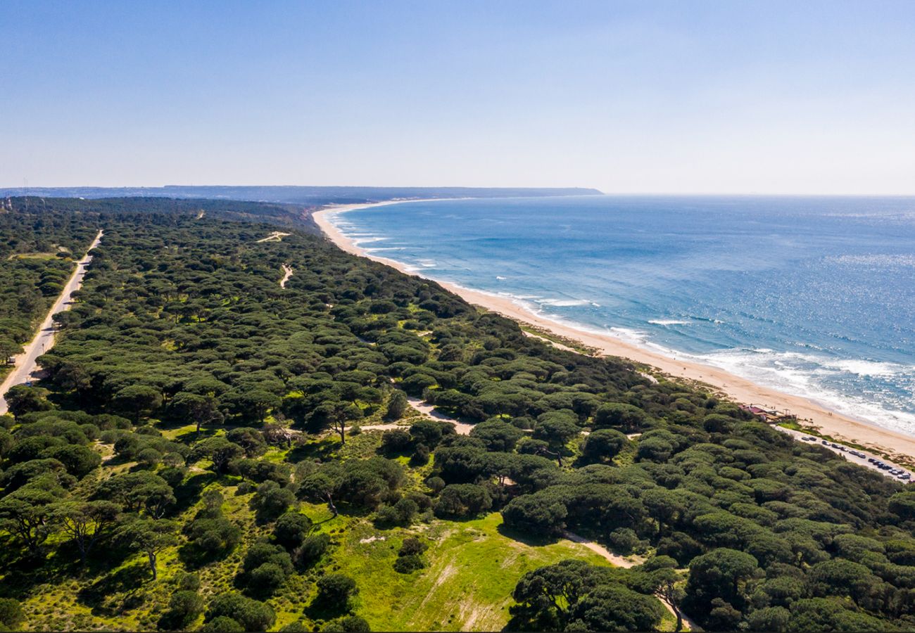 Villa en Lagoa de Albufeira - Villa das Dunas