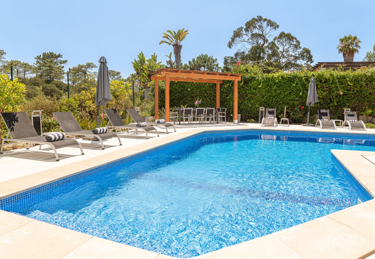 Piscina situada en un espacio exterior con todas las comodidades para unas vacaciones en familia.