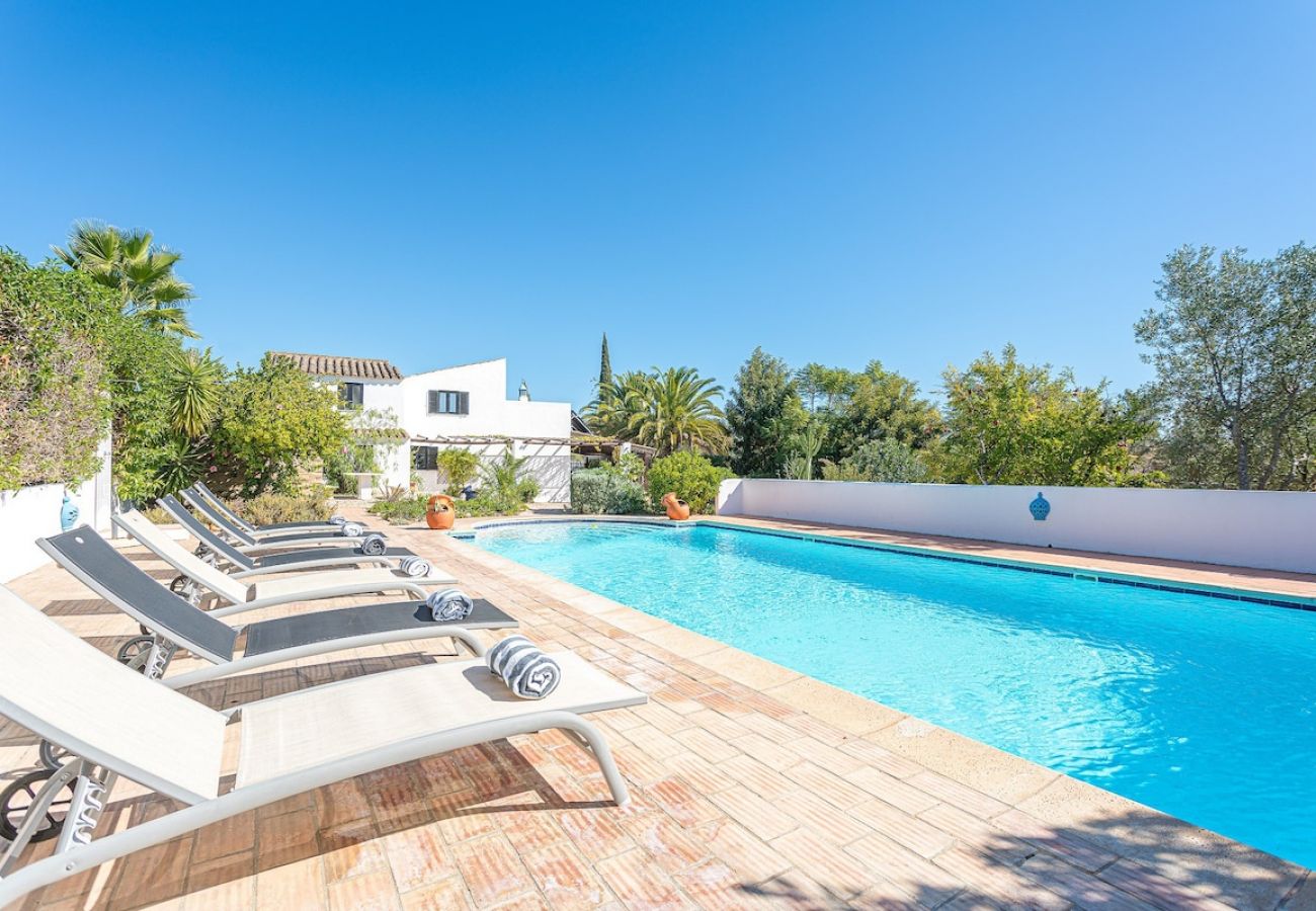 Piscina rodeada de naturaleza para vacaciones en familia.