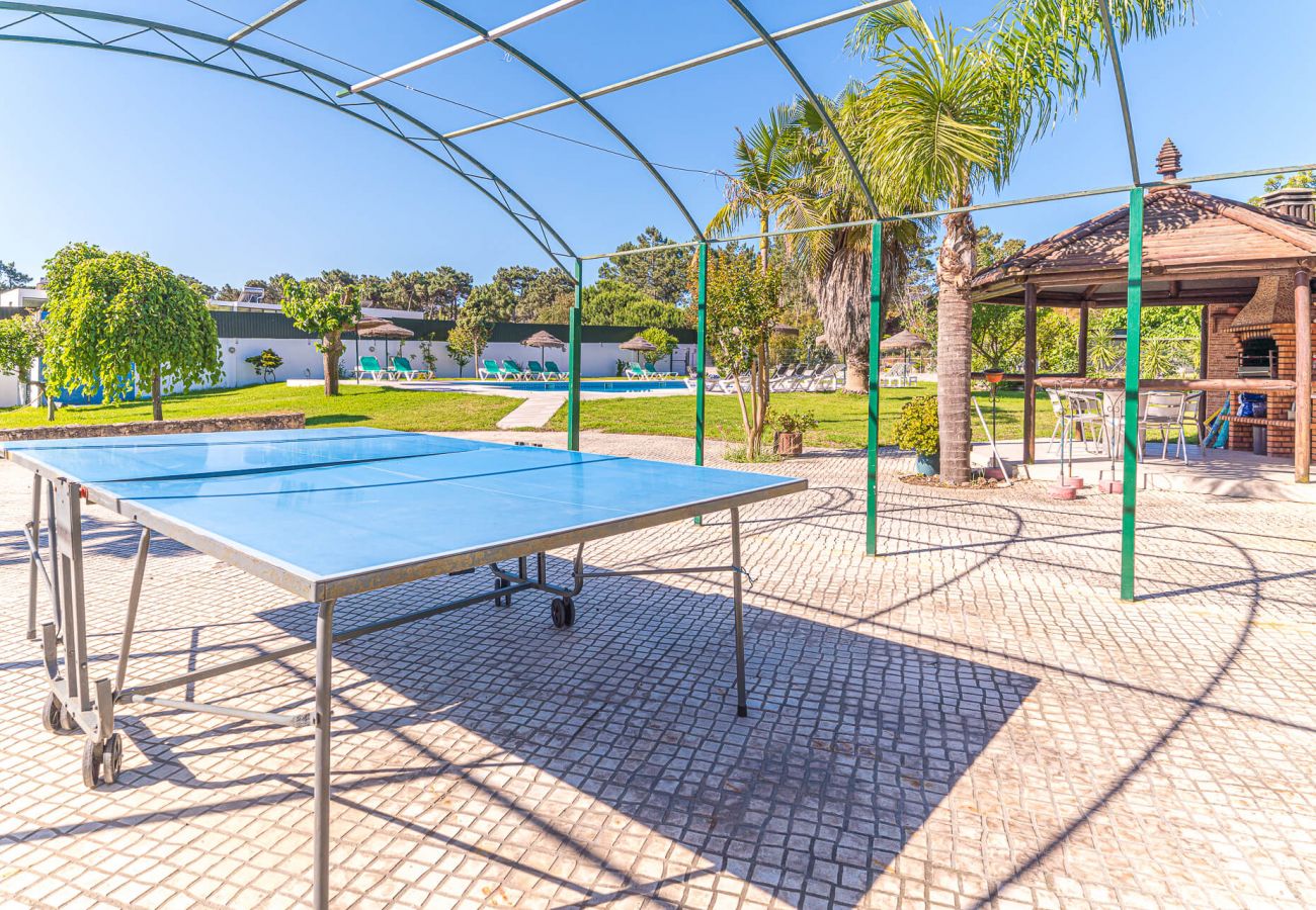 Mesa de tenis en el jardín. 