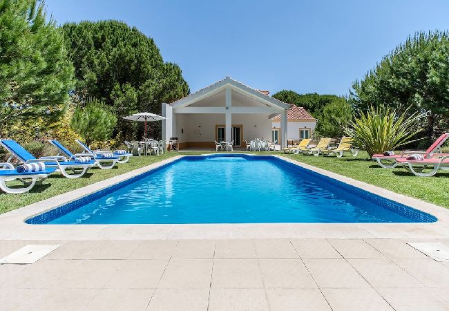 Piscina y jardín en villa de lujo.