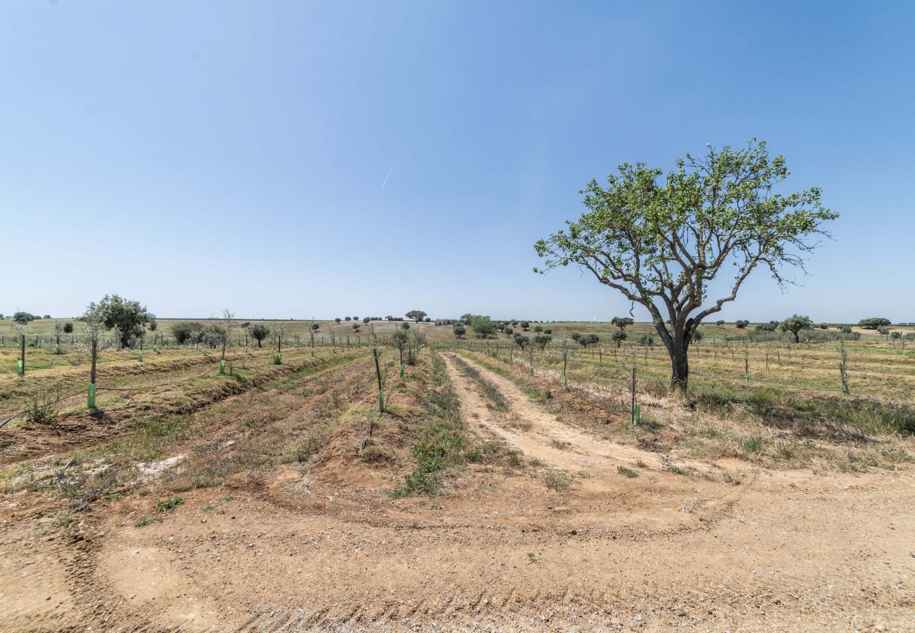 Villa en Ferreira do Alentejo - Monte do Vale