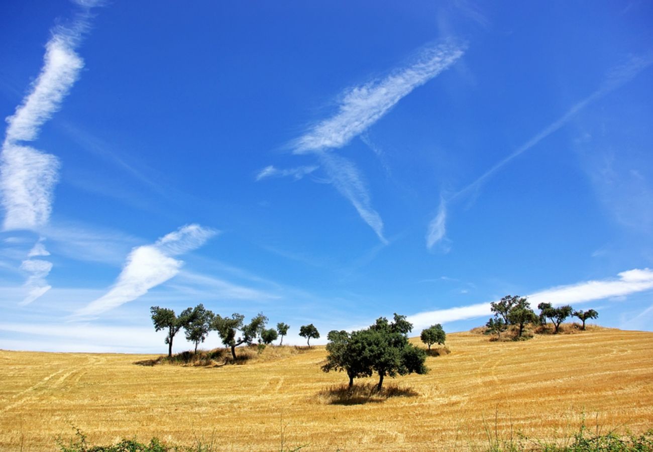 Villa en Ferreira do Alentejo - Monte do Vale