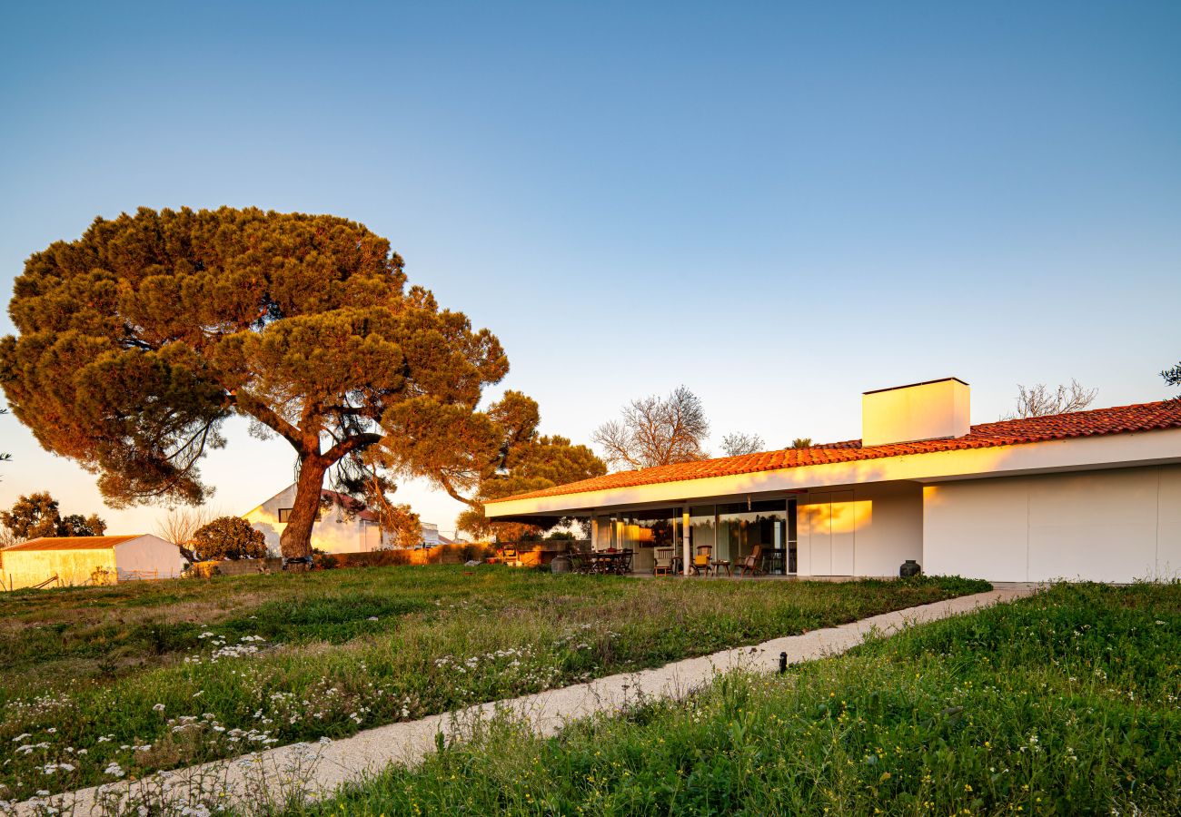 Casa en Grândola - Casa do Pinheiro