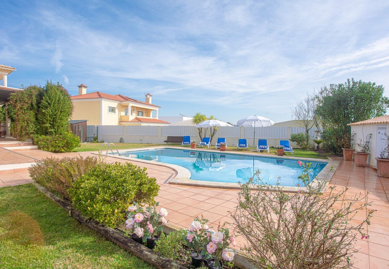 Détendez-vous dans un cadre magnifique avec un grand jardin et une piscine à la Villa Alegre à Sesimbra. Profitez de moments en plein air et de baigna