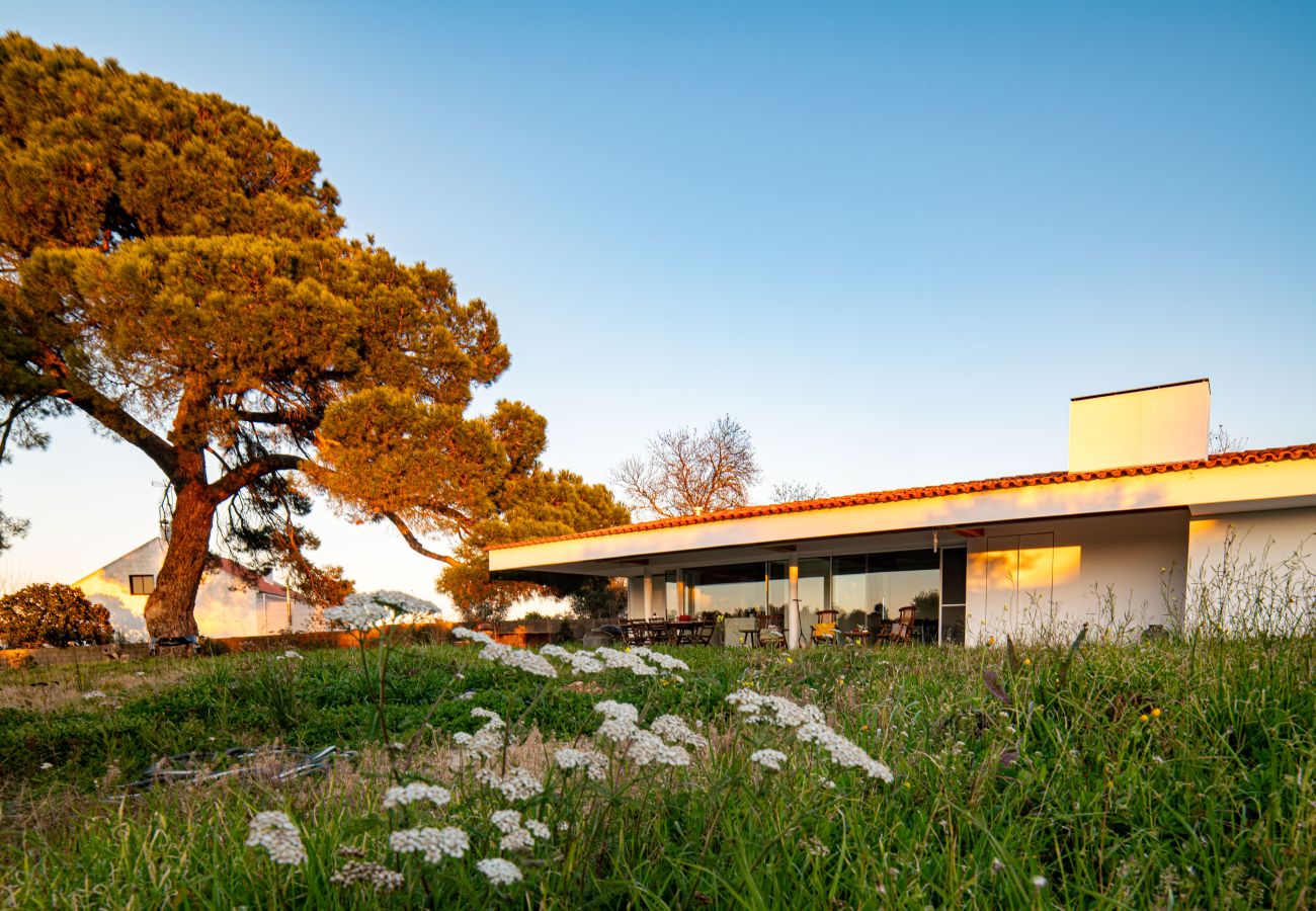 Maison à Grândola - Casa do Pinheiro