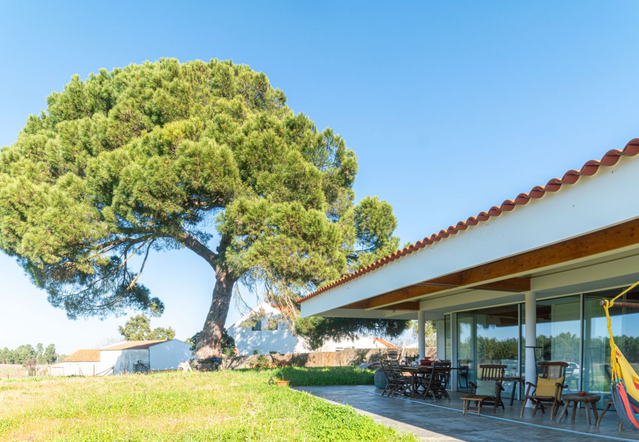 Maison à Grândola - Casa do Pinheiro