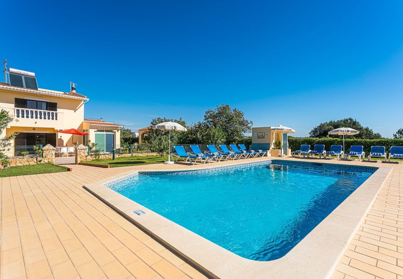 Piscina rodeada por um amplo jardim.