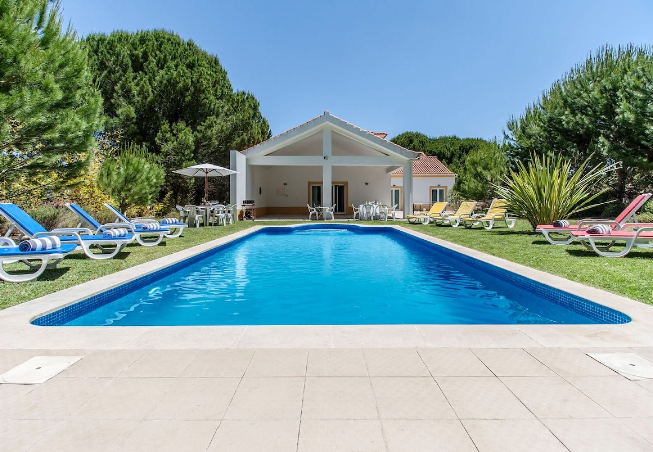 Piscina e jardim em moradia de luxo.