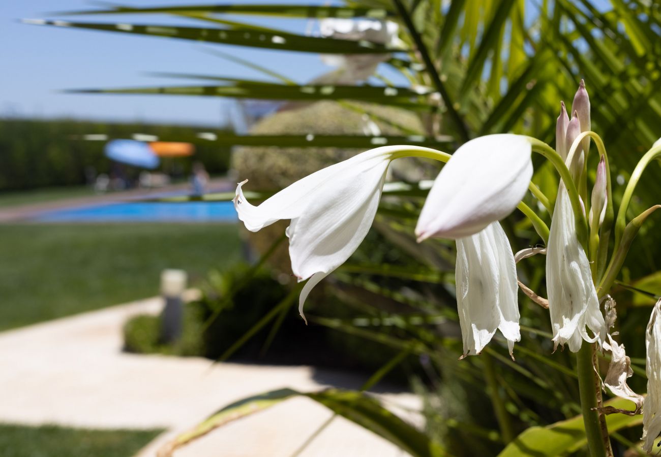 Casa geminada em Sagres - Villa Blue Sagres D