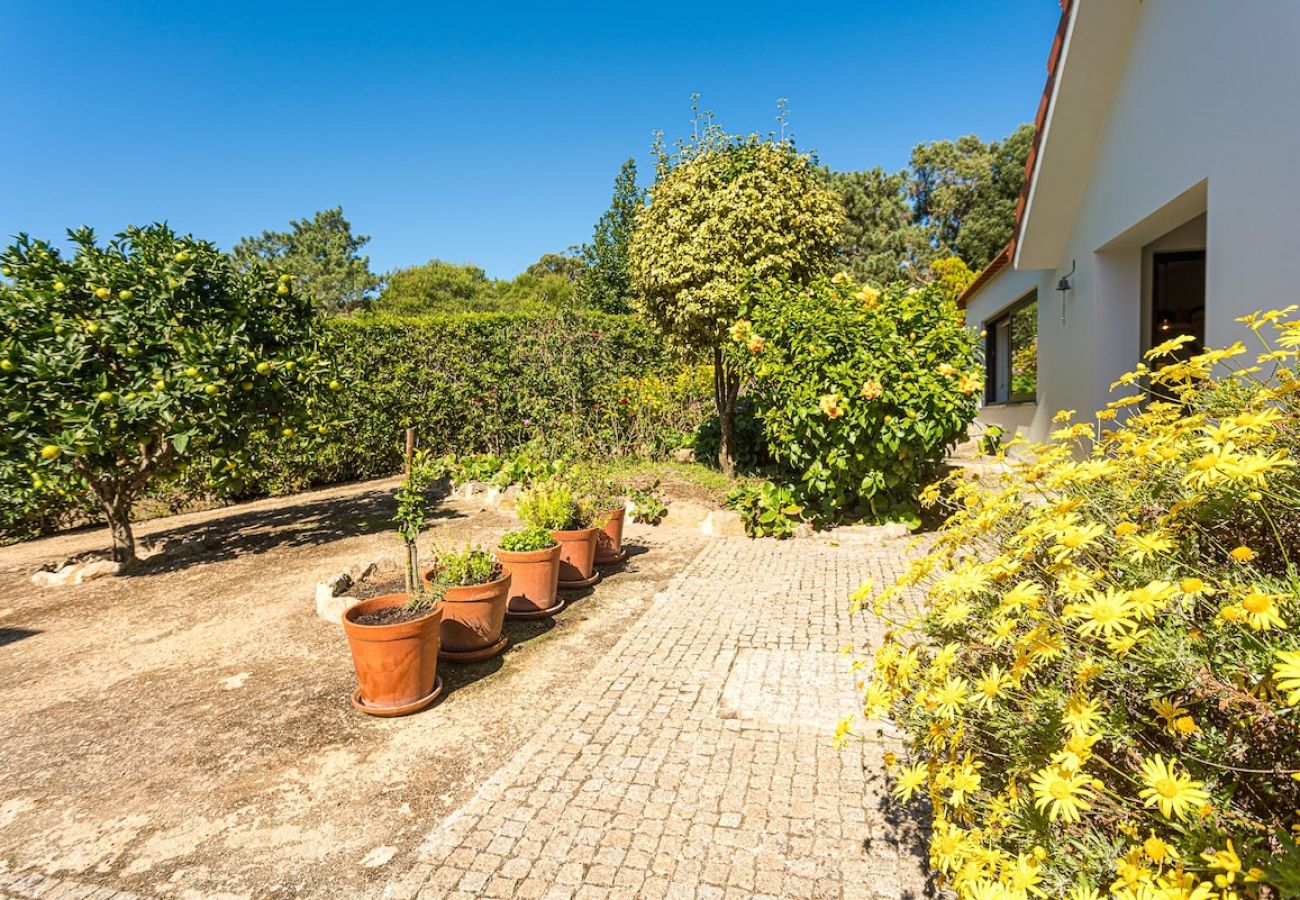 Villa in Sintra - Villa Santamaria