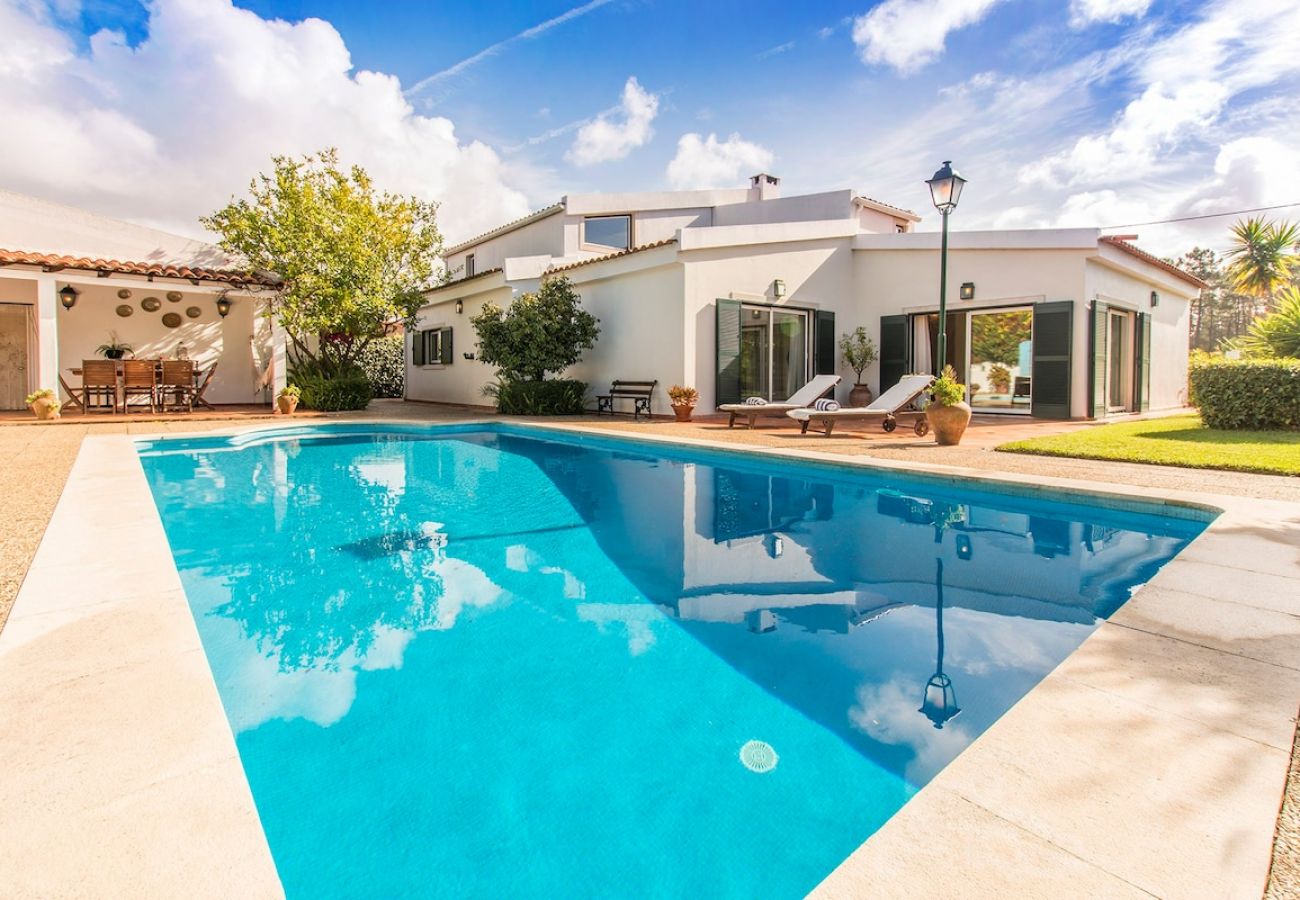 Swimming pool in luxury villa.