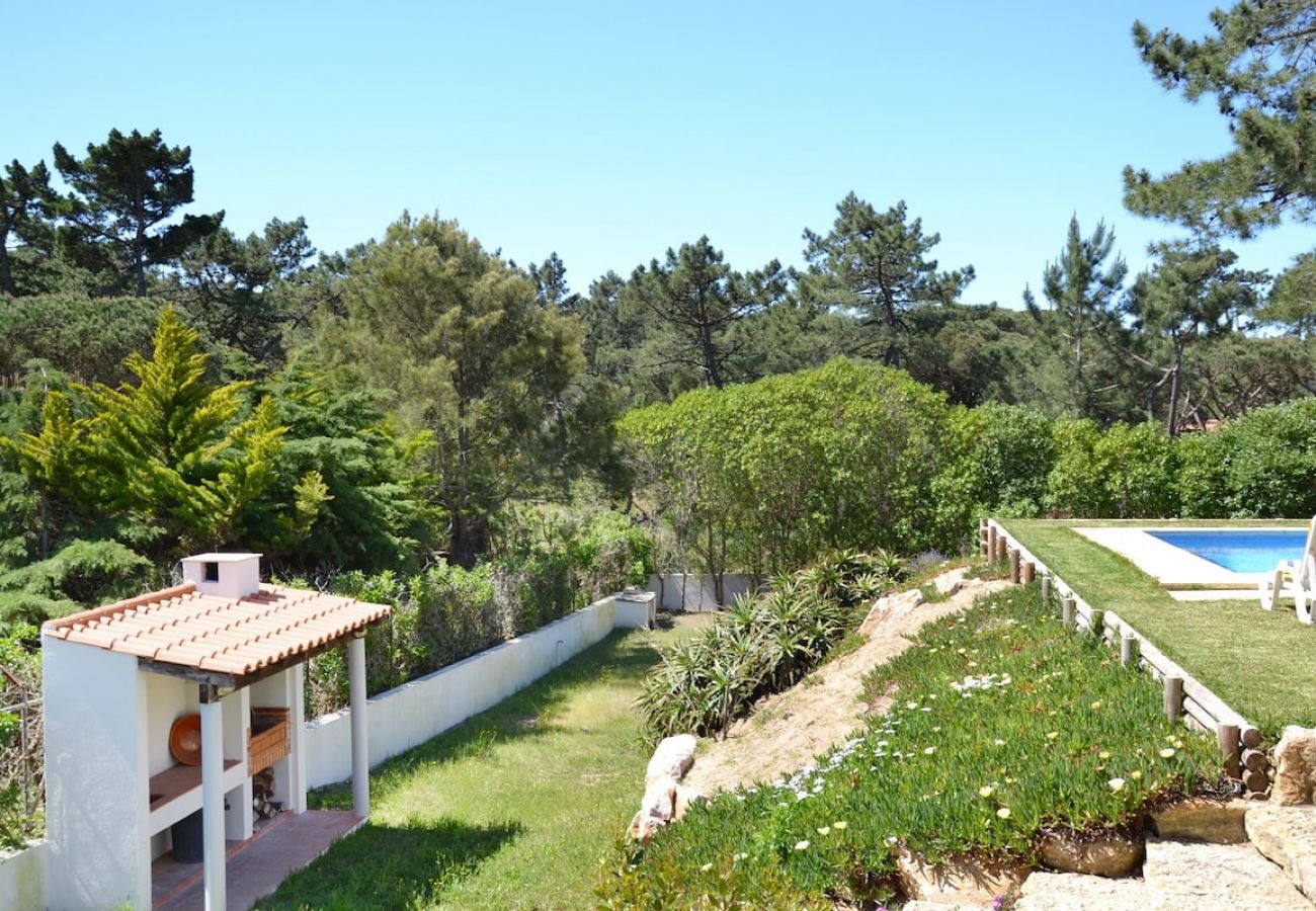 Villa in Sintra - Villa Latina