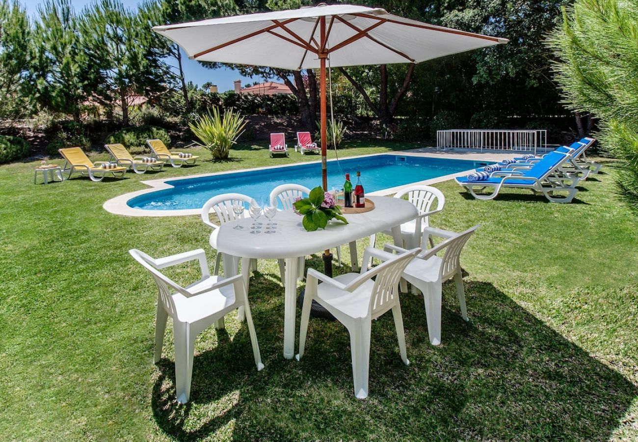 Dining and leisure area overlooking the pool. 