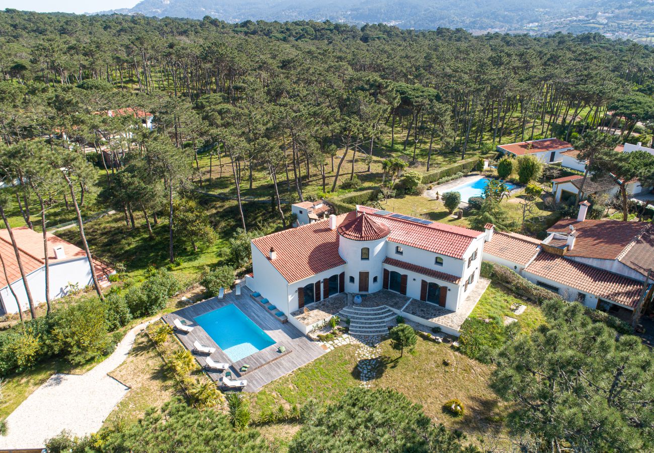 House surrounded by nature.