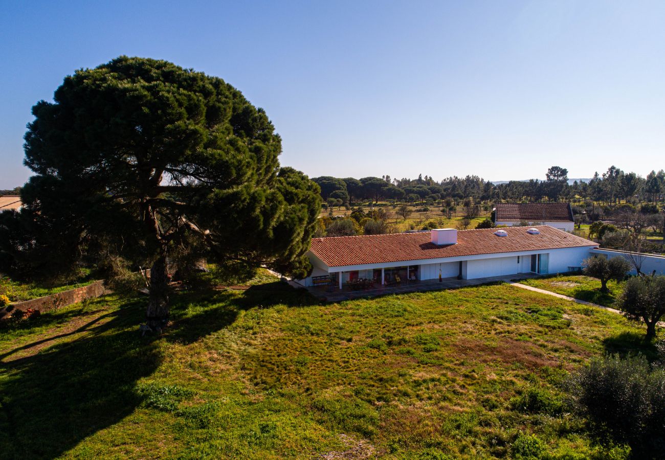 House in Grândola - Casa do Pinheiro