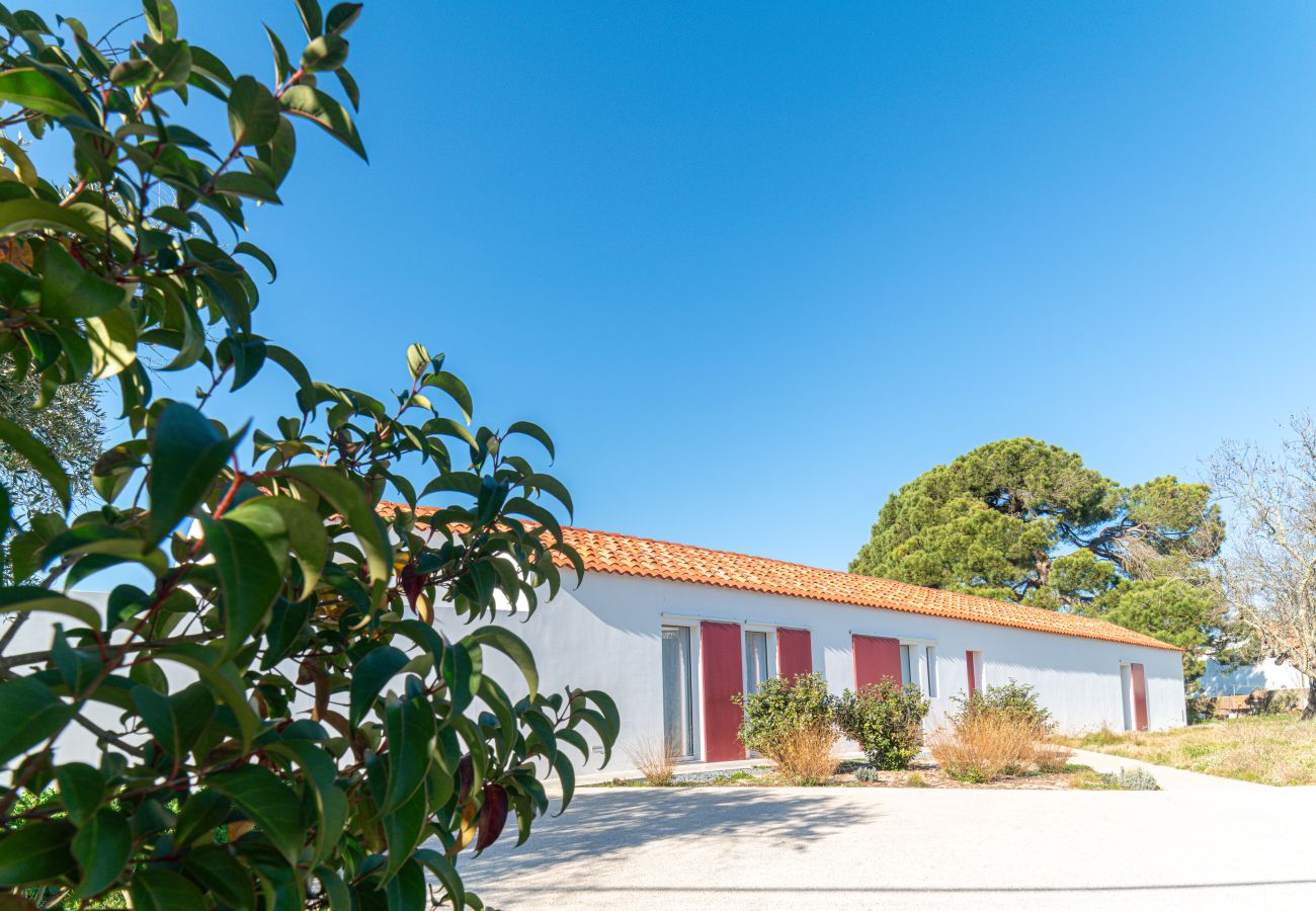 House in Grândola - Casa do Pinheiro